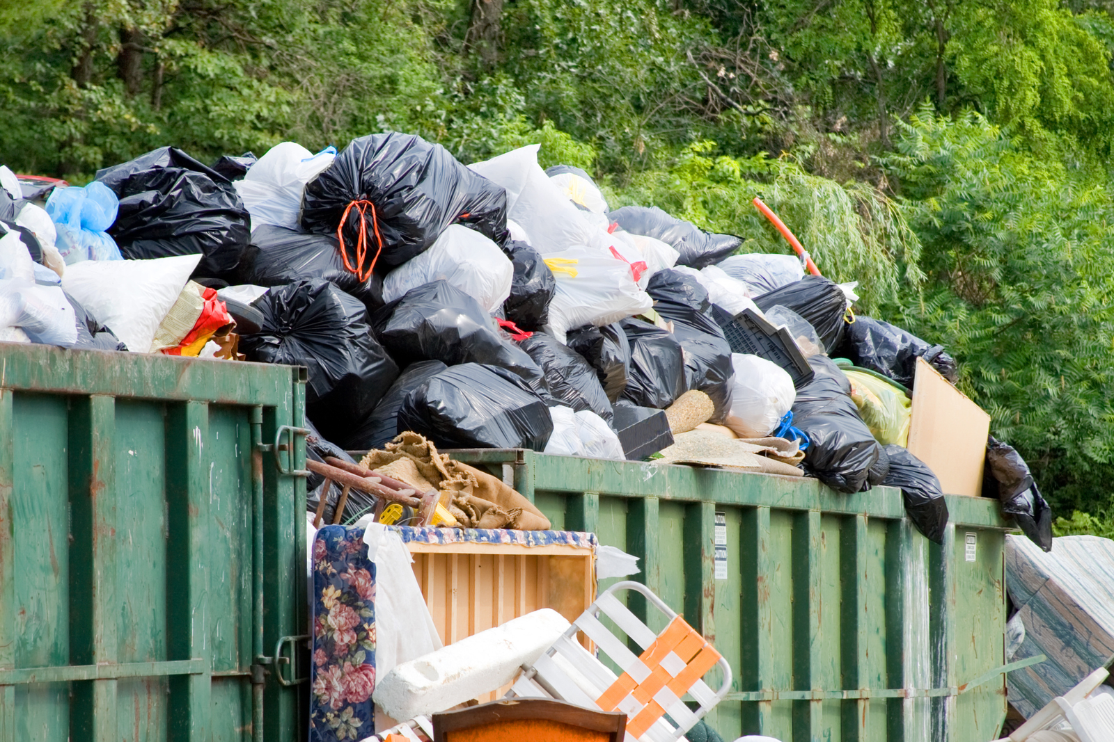 Dumpster Overflow Cleanup