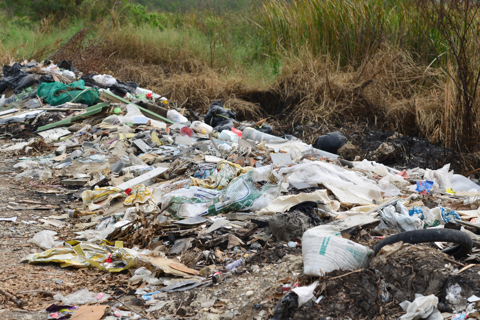 Illegal Dumping Cleanup